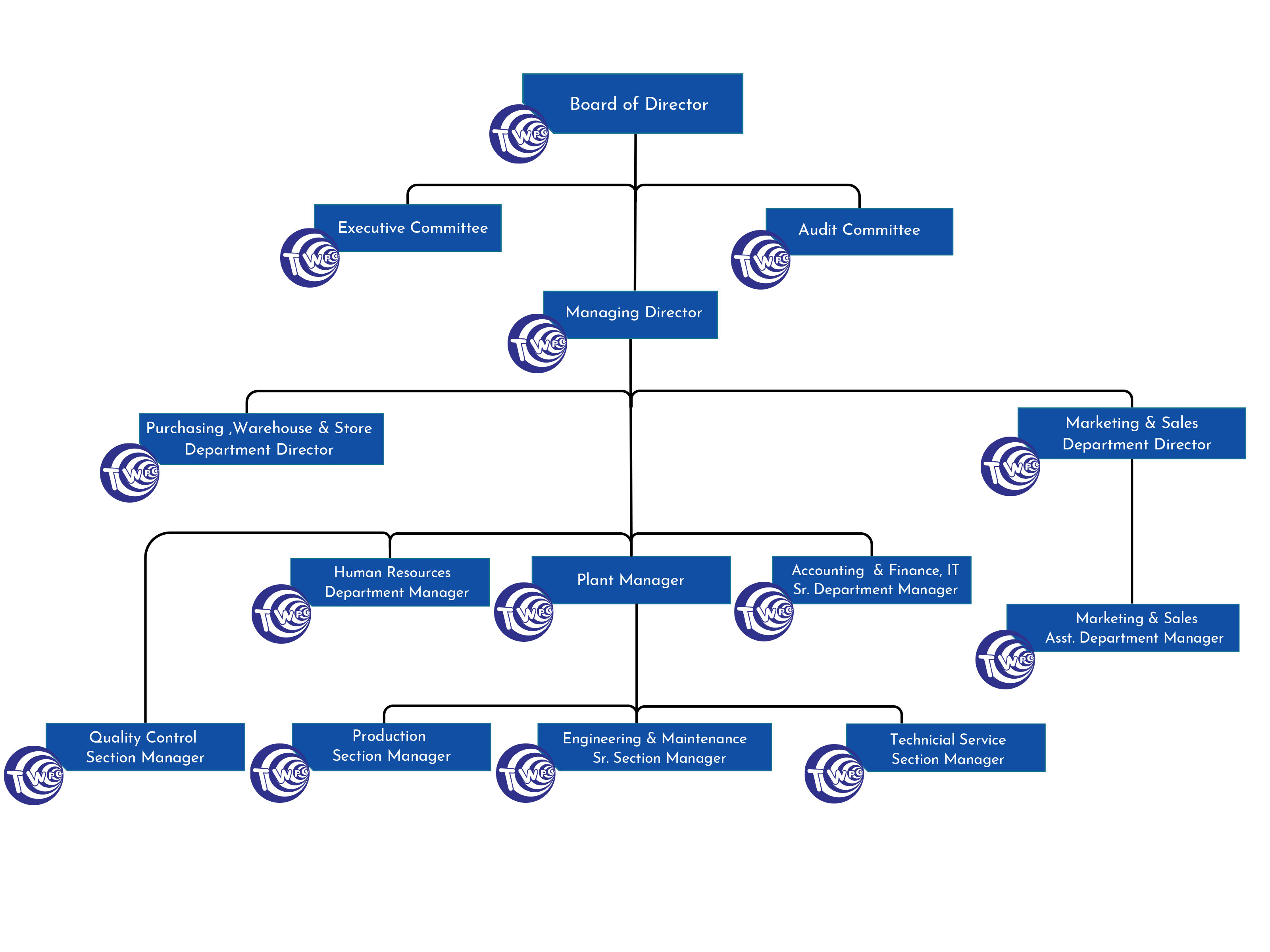 Thai Wire Products organization chart